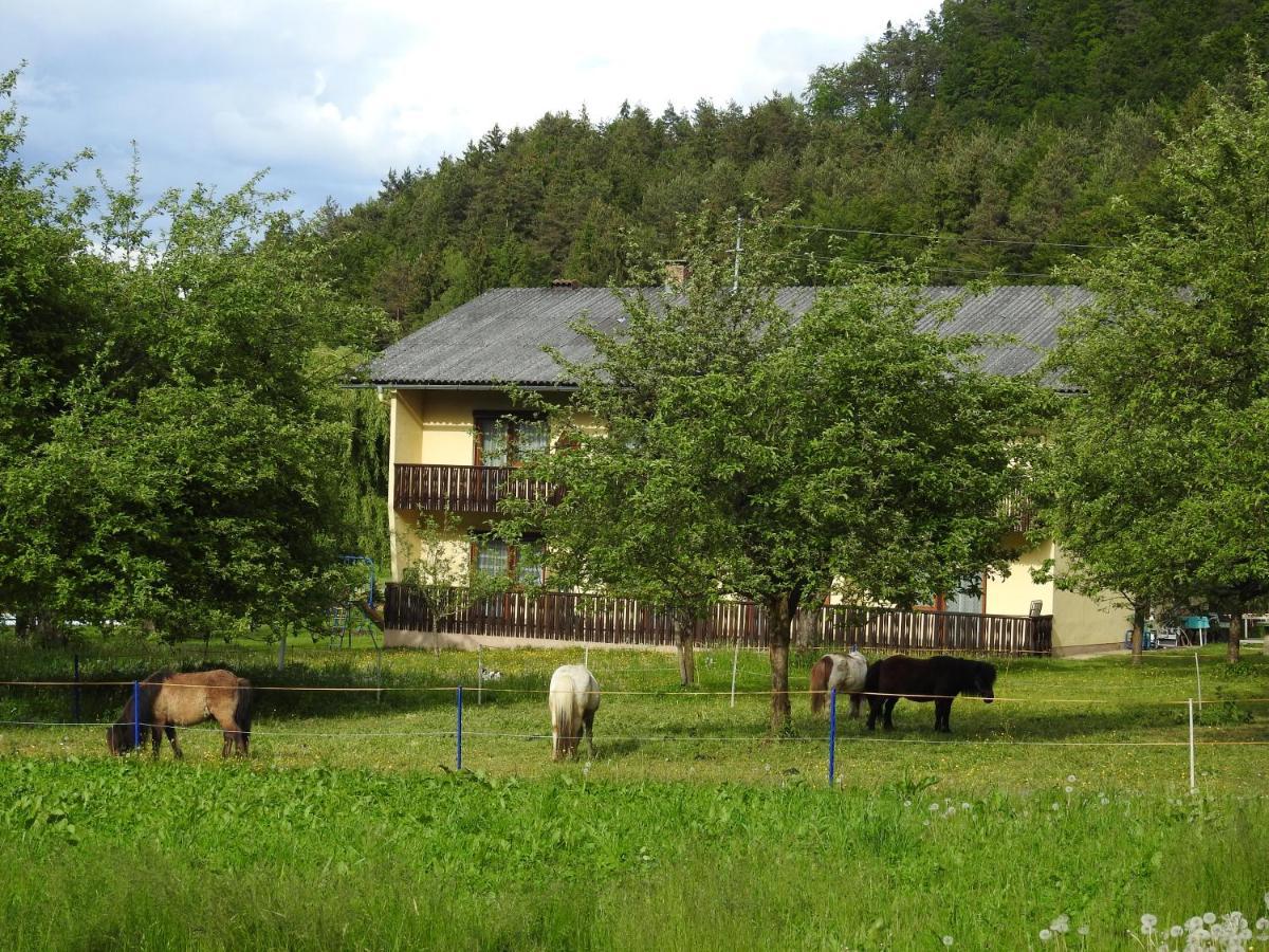 Apartment Am Ponyhof Sankt Kanzian am Klopeiner See Bagian luar foto